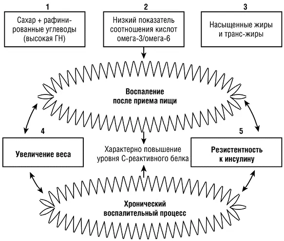 Воспаление после приема пищи провоцируют факторы указанные выше Изза - фото 13