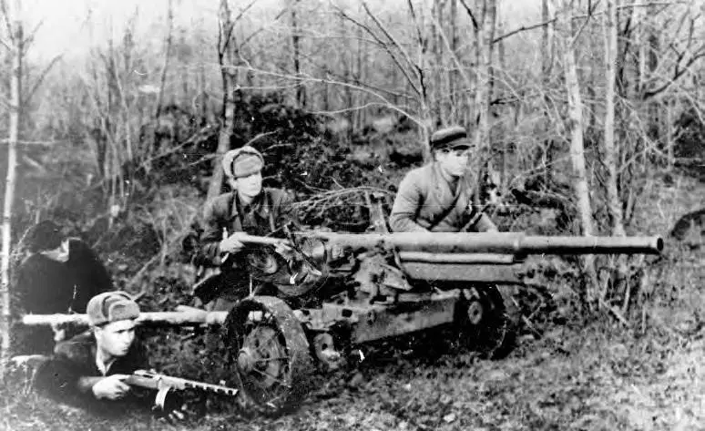 Орудие партизанского отряда имени Щорса Брестского соединения Справа - фото 70