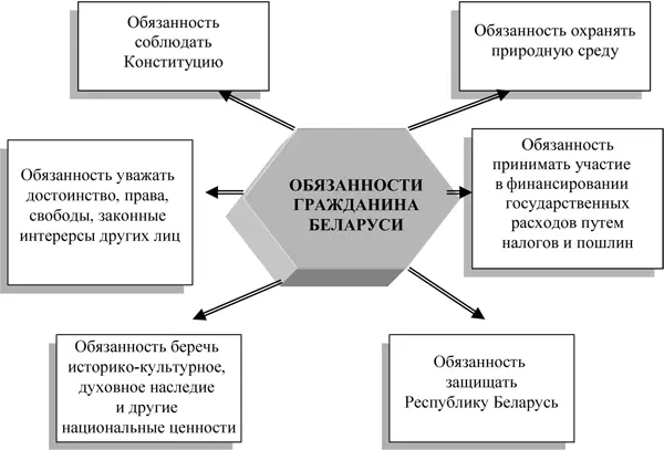 Рис 15 Основные обязанности граждан Республики Беларусь Права и свободы - фото 5