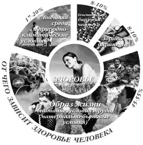 Здоровье образ жизни здравоохранение генетика человека внешняя среда - фото 2
