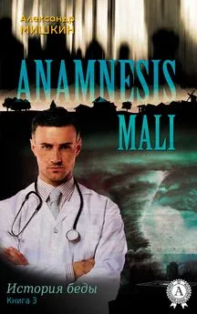 Александр Мишкин - Anamnesis mali (История беды). Книга 3