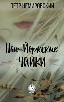 Петр Немировский - Нью-йоркские чайки