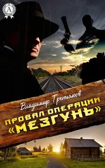 Владимир Третьяков - Провал операции «Мезгунь»