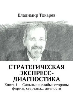 Владимир Токарев - Стратегическая экспресс-диагностика. Книга 1 – Сильные и слабые стороны фирмы, стартапа… личности