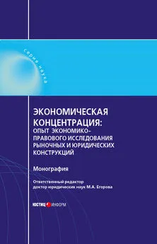 Д. Петров - Экономическая концентрация. Опыт экономико-правового исследования рыночных и юридических конструкций. Монография