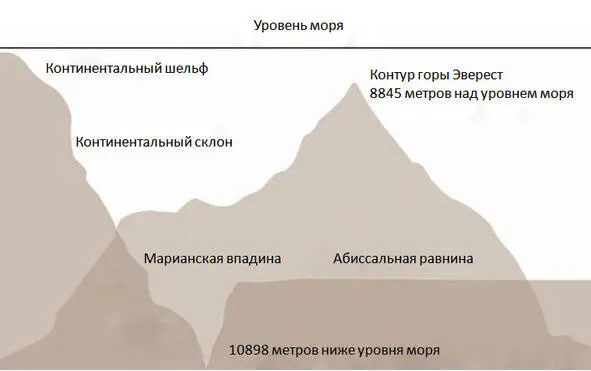 Схема строения морского дна в сопоставлении с самой высокой горой на суше - фото 25
