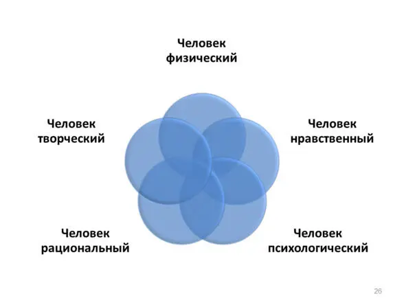 Рисунок 8 Системная модель человека Отложив на некоторое время более подробную - фото 10