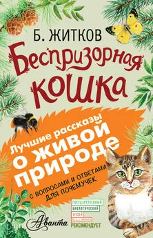 Борис Житков - Беспризорная кошка (сборник). С вопросами и ответами для почемучек