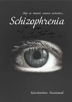 Константин Большаков - Schizophrenia. Мир не такой, каким кажется