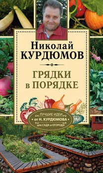 Николай Курдюмов - Грядки в порядке