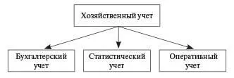 Рис 1 Виды хозяйственного учета В отличие от бухгалтерского учета - фото 2