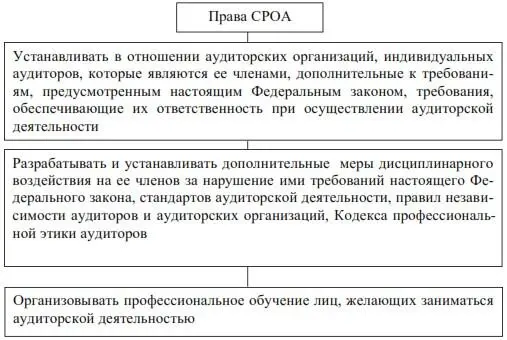 Обязанности саморегулируемой организации аудиторов п 7 ст 17 Федерального - фото 40