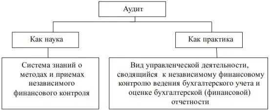 Основы теории аудита Аудиторская деятельность прошла определенный путь в - фото 5