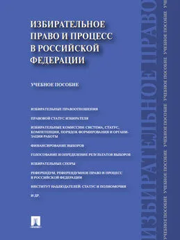 Алексей Свистунов - Избирательное право и процесс в Российской Федерации. Учебное пособие