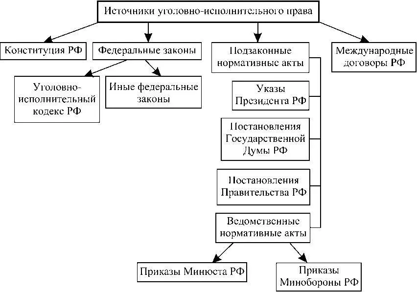 Схема 12 Виды источников уголовноисполнительного права Схема 13 - фото 3