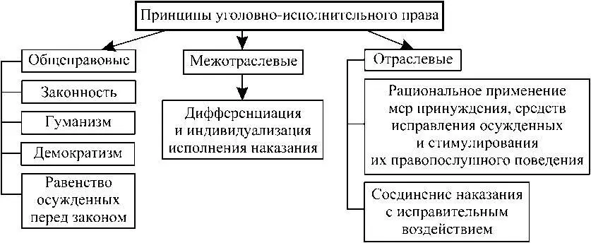 Схема 13 Классификация принципов уголовноисполнительного права Схема 14 - фото 4