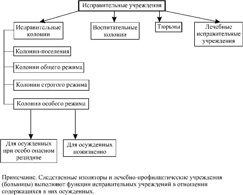 Схема 22 Виды исправительных учреждений Схема 23 Уголовноисполнительная - фото 9