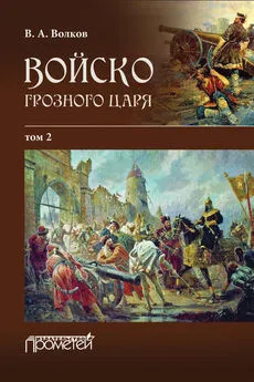 Владимир Волков - Войско грозного царя. Том 2