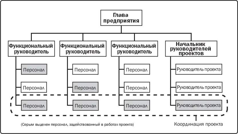 Рис 24 Сильная матричная организация На противоположном от функциональной - фото 7