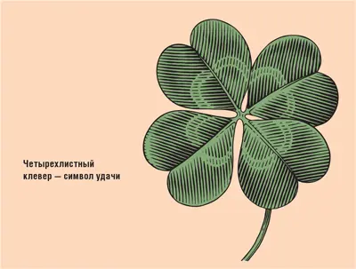 Легенды о счастливом четырехлистнике Легенда о магических свойствах - фото 4