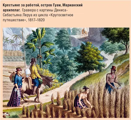 Альтернативные версии возникновения агрокультуры Отметим что не все историки - фото 15