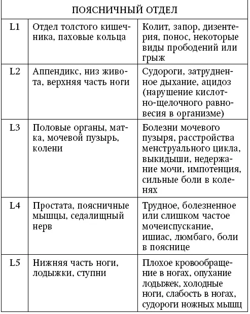 Проанализировав данные таблицы можно сделать вывод что позвоночник является - фото 4