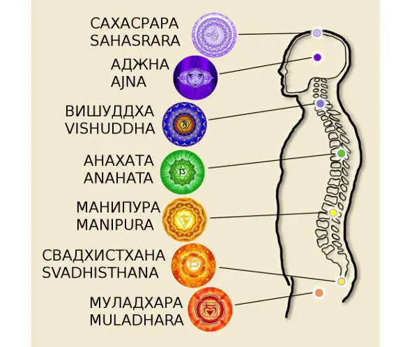 Начнем с проекции чакр на физическое тело вместе с физическими же - фото 1
