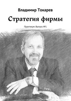 Владимир Токарев - Стратегия фирмы. Практикум: Выпуск №1