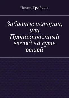 Назар Ерофеев - Забавные истории, или Проникновенный взгляд на суть вещей