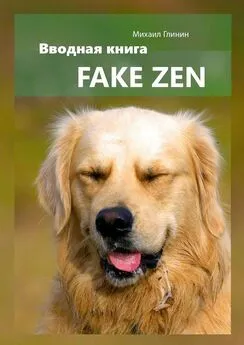 Михаил Глинин - Fake Zen. Вводная книга