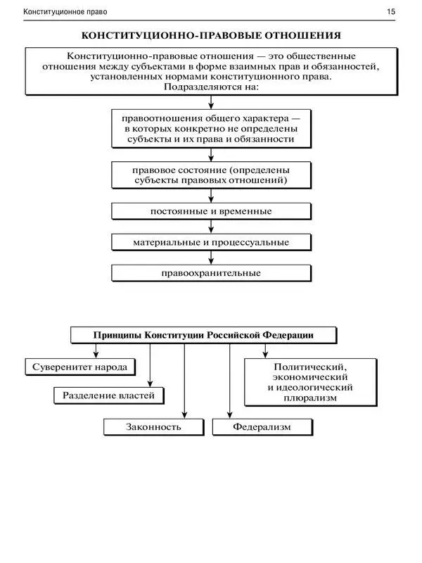 Правоведение в схемах Научнопрактическое пособие - фото 13
