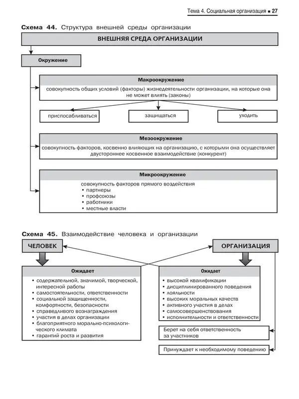 28 Тема 5 Законы организации 30 - фото 26