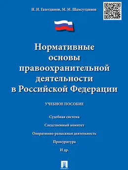 Марат Шамсутдинов - Нормативные основы правоохранительной деятельности в Российской Федерации. Учебное пособие