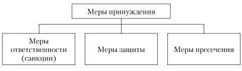 Рис 2 Меры государственного принуждения Понятие меры защиты впервые ввел - фото 3