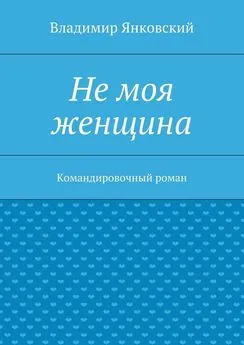 Владимир Янковский - Не моя женщина. Командировочный роман