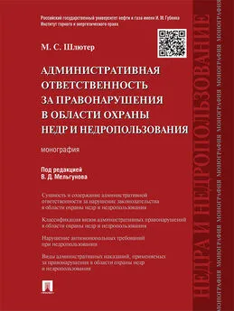 Мария Шлютер - Административная ответственность за правонарушения в области охраны недр и недропользования. Монография