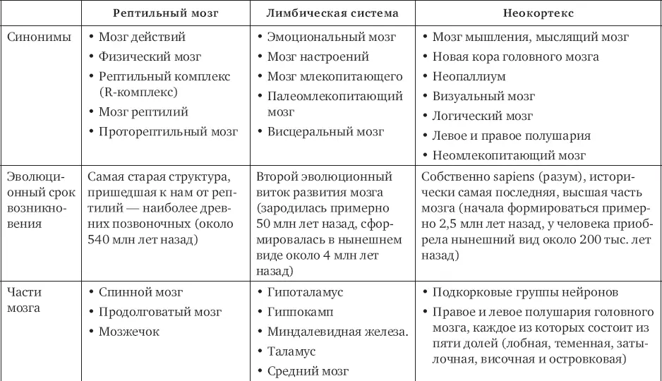 Рептильный мозг Мозг действийрептильный мозг ретикулярный мозг Rкомплекс - фото 2