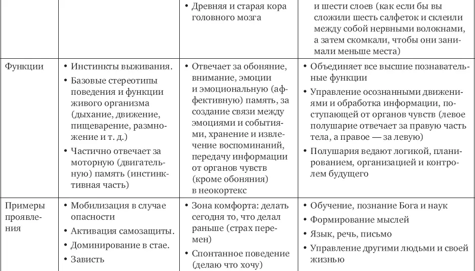 Рептильный мозг Мозг действийрептильный мозг ретикулярный мозг Rкомплекс - фото 3