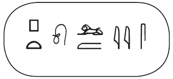 Мог ли этот картуш фонетически дублировать имя Птолемея Юнг приступил к - фото 17