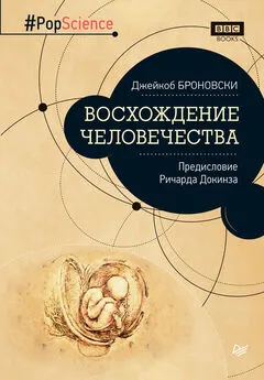 Джейкоб Броновски - Восхождение человечества. Предисловие Ричарда Докинза