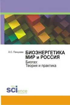 Евгений Панцхава - Биоэнергетика. Мир и Россия. Биогаз. Теория и практика. Монография