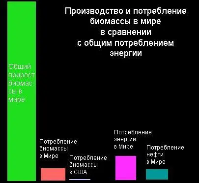 Рис 23 Производство и потребление биомассы в мире в сравнении с общим - фото 30