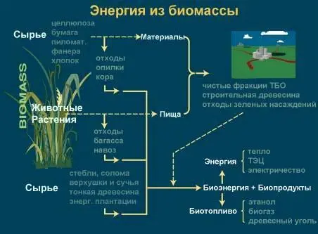 Рис 26 Целесообразность использования биомассы 22 Вместе с тем наземные - фото 33