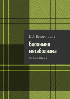 Е. Бессолицына - Биохимия метаболизма. Учебное пособие