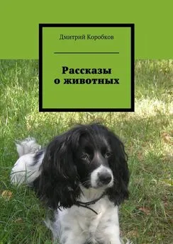 Дмитрий Коробков - Рассказы о животных