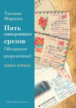 Татьяна Норкина - Пять синхронных срезов (механизм разрушения). Книга первая