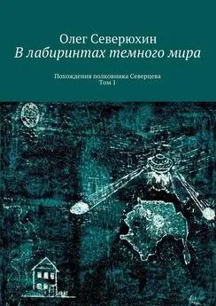 Олег Северюхин - В лабиринтах темного мира. Похождения полковника Северцева. Том 1