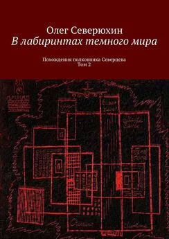 Олег Северюхин - В лабиринтах темного мира. Похождения полковника Северцева. Том 2