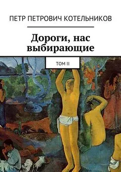 Петр Котельников - Дороги, нас выбирающие. Том II