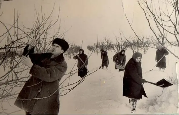 Отец на снегозадержании в колхозном саду Мама на нашем огороде возле сада - фото 12